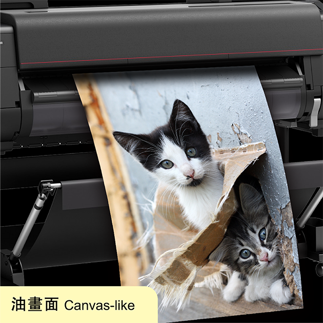 A0專業噴畫油畫(自設-直) | FOTOMAX